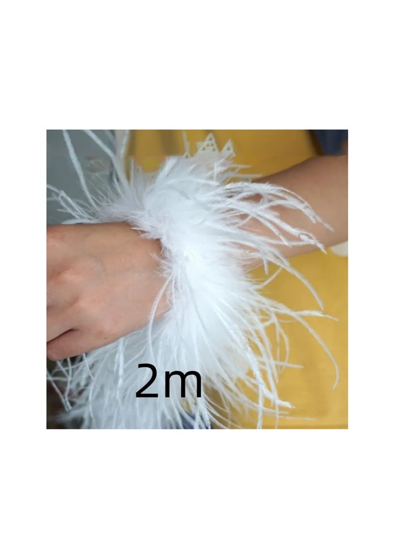 Natural Ostrich Feather - 2 Layer  - Image 3