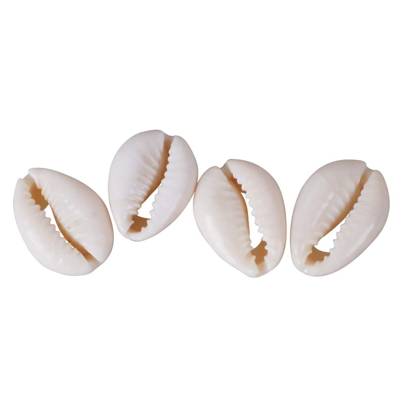 PPCLION 150 PCS White 0.63"-0.71" Natural Strong Cowrie Shell Beads Smooth Cut Oval Seashells, Beach Seashells with Big Hole for DIY Craft Jewelry Making, Adorning Hair Locks and Braids - Image 5