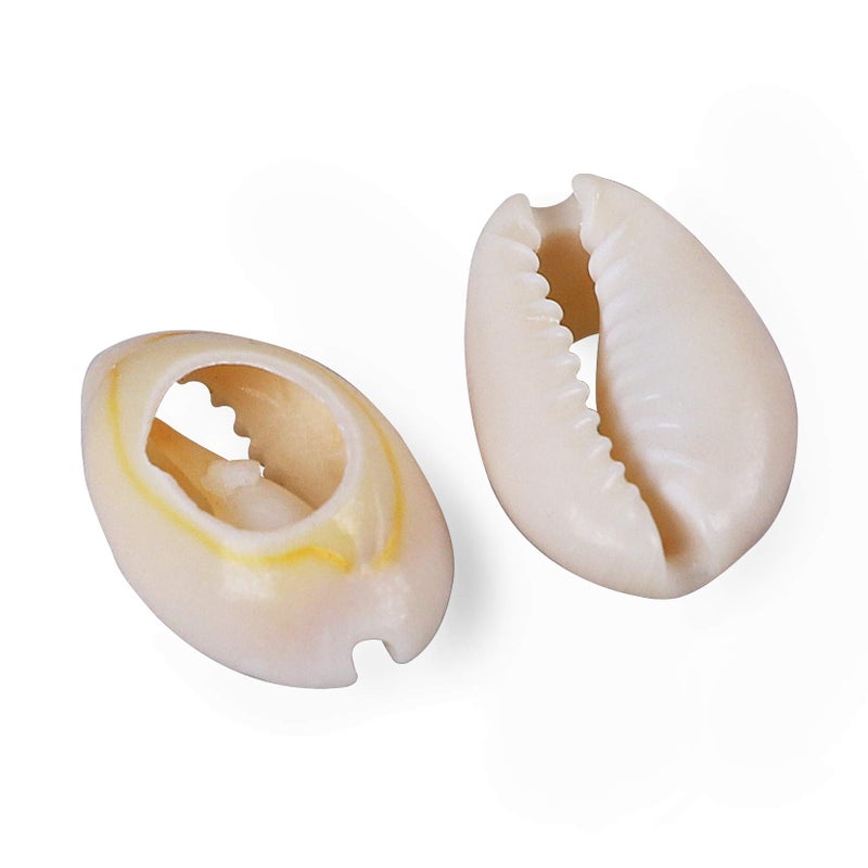 PPCLION 150 PCS White 0.63"-0.71" Natural Strong Cowrie Shell Beads Smooth Cut Oval Seashells, Beach Seashells with Big Hole for DIY Craft Jewelry Making, Adorning Hair Locks and Braids - Image 2