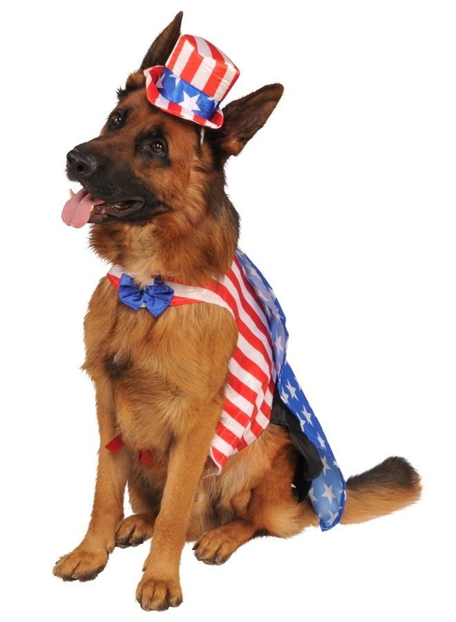 Uncle Sam Pet Costume, Medium