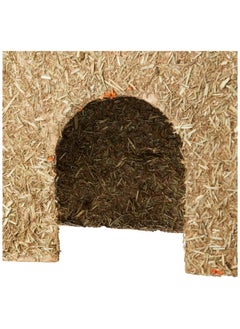 Rosewood Naturals Carrot Cottage House for Guinea Pigs, Chinchillas and Degus, Medium - pzsku/Z1A7B2C3B8AB0F126BD11Z/45/_/1737031777/a8e43e18-7cf7-404a-8b16-2b3de53c4fd8