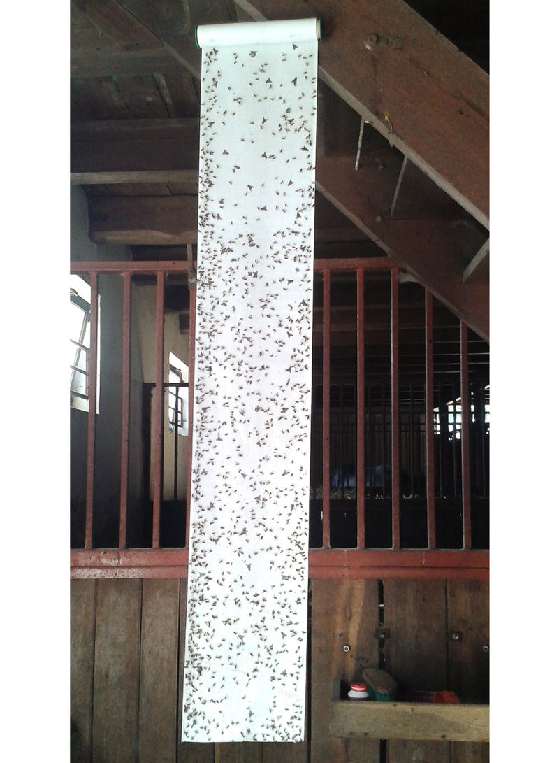 Flypaper roll 10S - for attraction and control on flying insects - indoor - Image 3