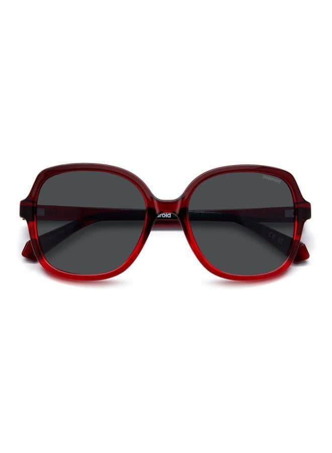 Polaroid Square Sunglasses Frames - Image 4