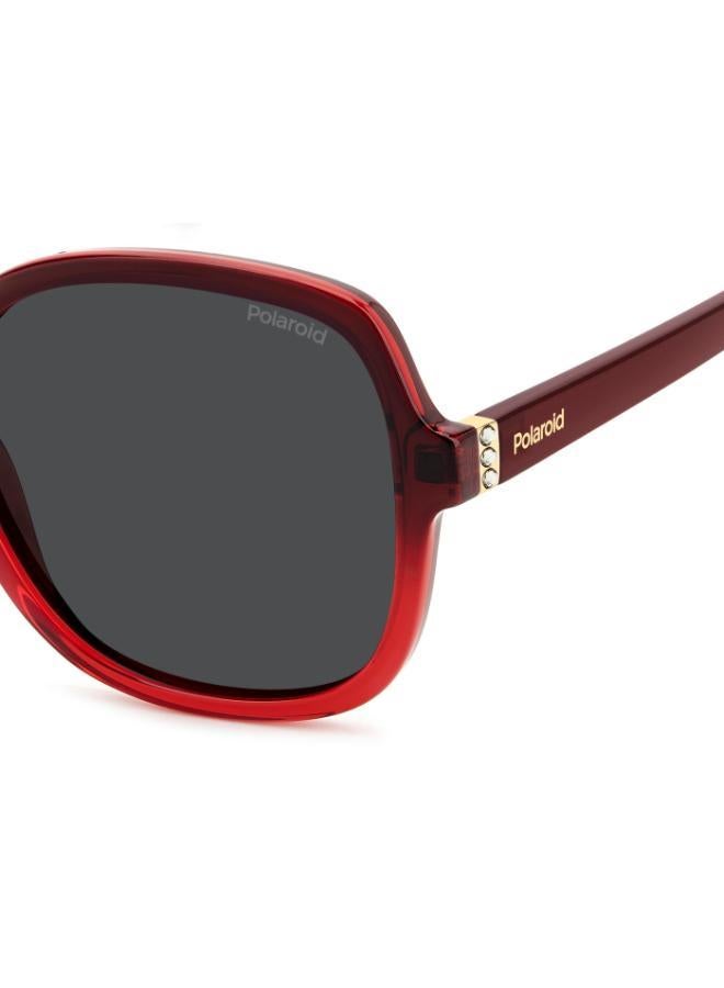 Polaroid Square Sunglasses Frames - Image 5