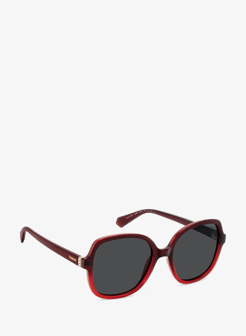 Polaroid Square Sunglasses Frames