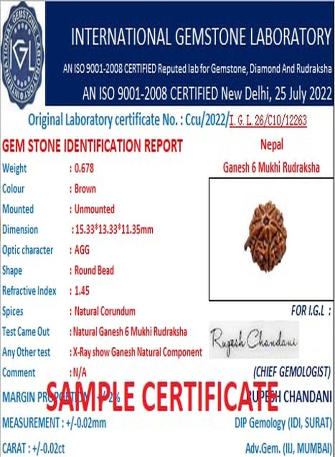 IRIS GEMS 6 mukhi ganesh rudraksha original lab tested with aaa+ rated quality for pendant bracelet genuine Chah mukhi rudraksh chhah mukhi rudraksha गणेश रुद्राक्ष छह मुखी रुद्राक्ष ओरिजिनल सर्टिफाइड - Image 3