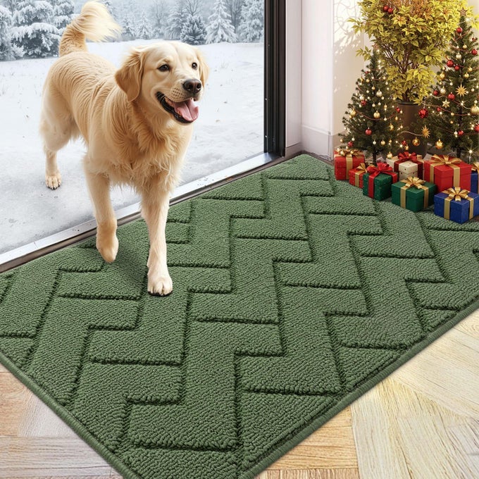 INDOOR DOORMATFRONT BACK DOOR MAT RUBBER BACKING NON SLIP DOOR MATS 24X35 ABSORBENT RESIST DIRT ENTRANCE DOORMAT INSIDE FLOOR MATS FOR ENTRYWAY WASHABLE LOWPROFILEGREEN