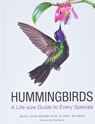 Hummingbirds A Lifesize Guide To Every Species 