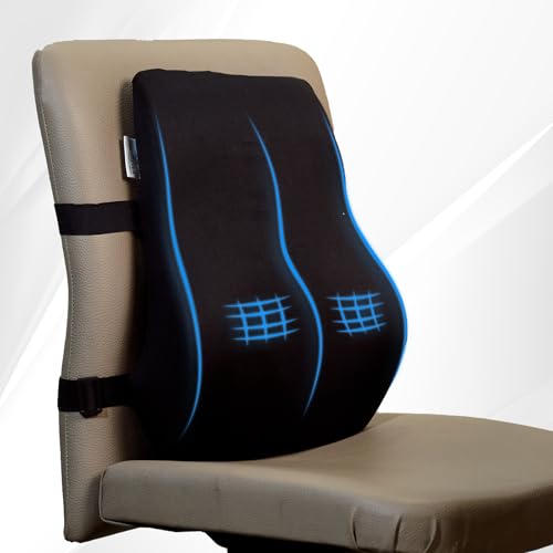 WELLGIVER Memory Foam Lumbar Support Pillow for Office Chair & Car Seat – Ergonomic Back Cushion for Lower Back Pain Relief, Posture Support & Comfortable Long Sitting - Image 1