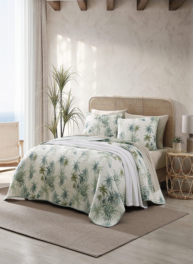 Tommy Bahama - Twin Quilt, Reversible Cotton Bedding, Floral Bedding Set (Serenity Palm Blue, Twin) - Image 2