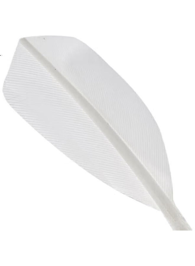 Kawasaki Badminton Durable Training Shuttlecocks, Competition Grade, Stable Flight, Xinghe 7, Pack Of 10 - Image 3
