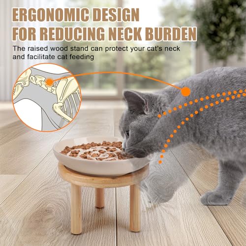 Lfpkixise Elevated Slow Feeder Cat Bowls, Ceramic Cat Slow Feeder Bowl with Bamboo Stand, 5.9 Inch Wide Shallow Cats Bowl Whisker Friendly, Anti Vomiting Puzzle Feeder for Dry or Wet Food Dishwasher Safe - Image 4