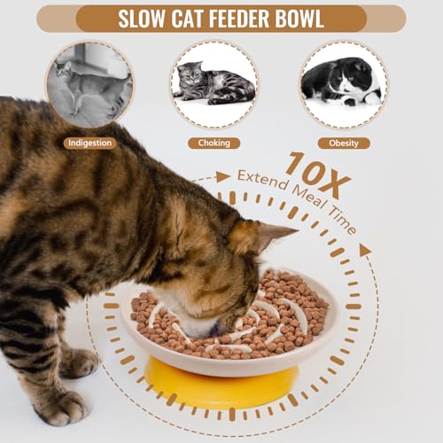 Lfpkixise Elevated Slow Feeder Cat Bowls, Ceramic Cat Slow Feeder Bowl with Bamboo Stand, 5.9 Inch Wide Shallow Cats Bowl Whisker Friendly, Anti Vomiting Puzzle Feeder for Dry or Wet Food Dishwasher Safe - Image 5
