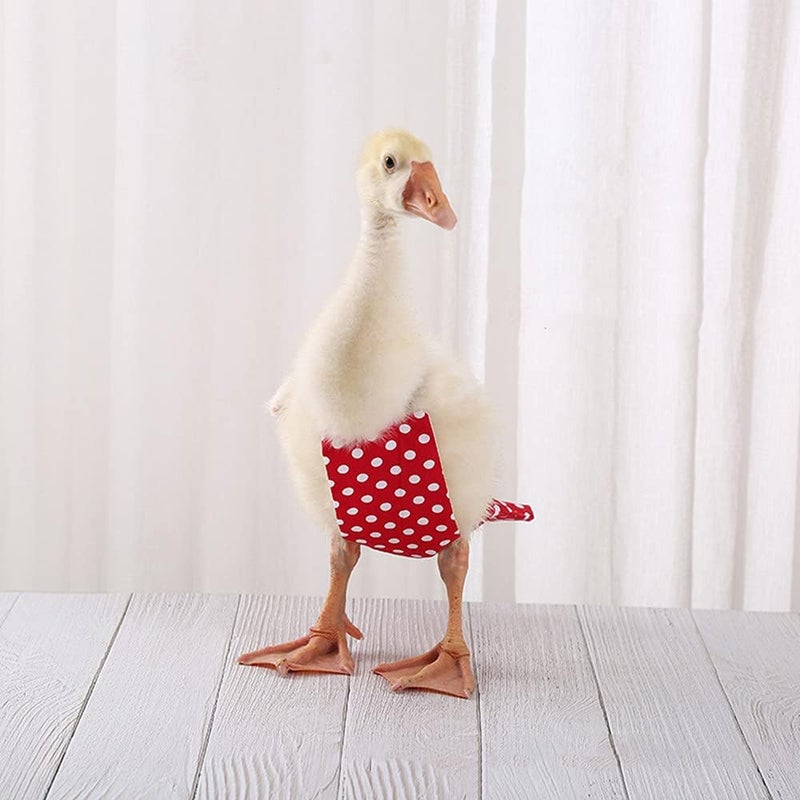 Winmany Chicken Duck Goose Diaper Washable Pet Bow Tie Diapers for Hens Roosters Poultry 1 Pack (S, Red) - Image 5