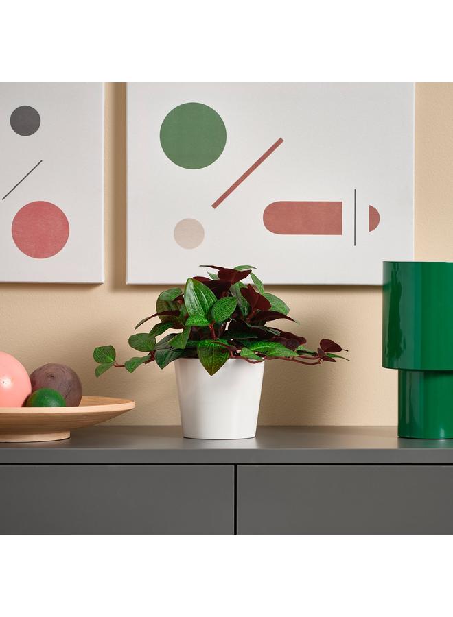 erorex Artificial Potted Plant, In/Outdoor Jewel Orchid, 9 Cm - Image 2