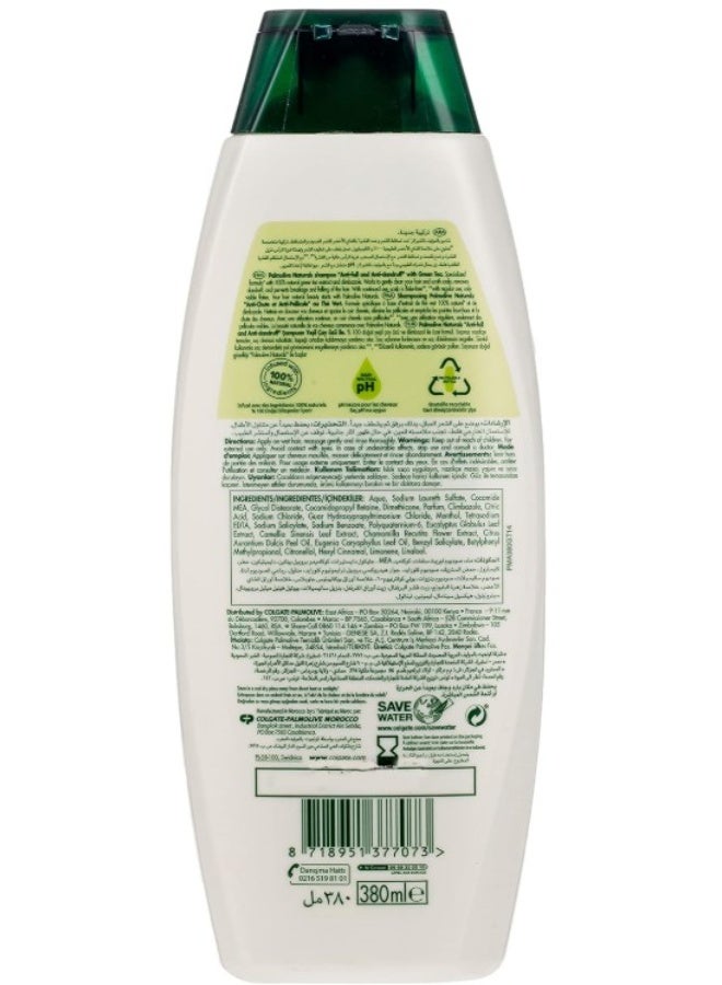 Palmolive Anti-Dandruff And Anti-Fall Shampoo For Fragile And Falling Hair, 100% Natural Ingredients, Green Tea Shampoo, 380 ml - Image 2