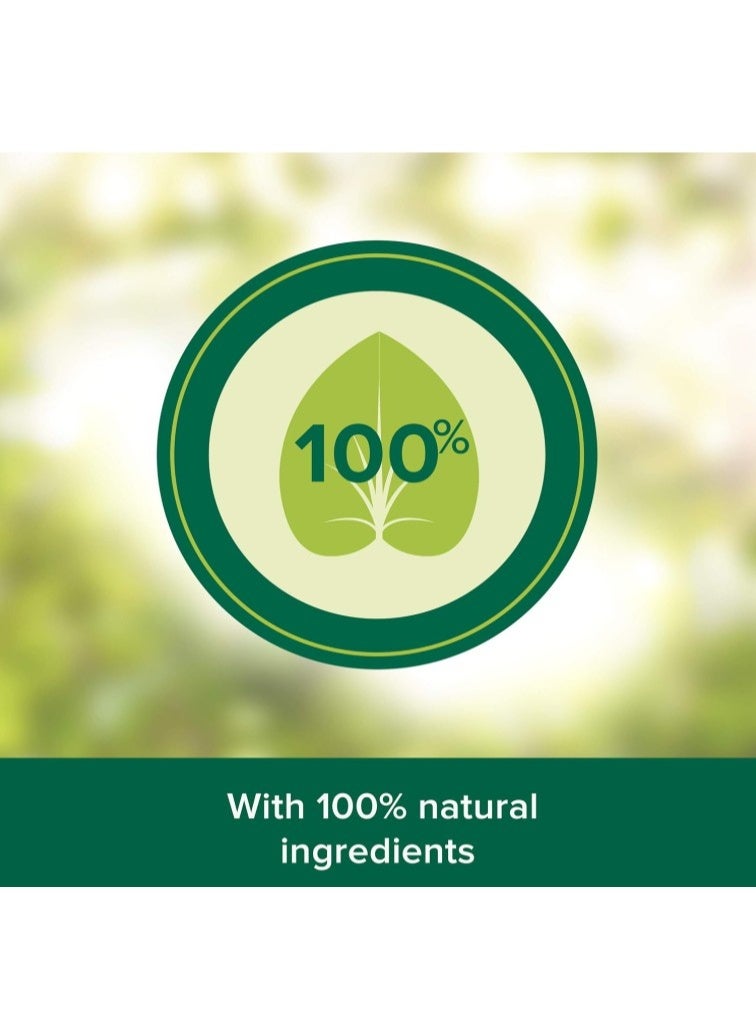 Palmolive Anti-Dandruff And Anti-Fall Shampoo For Fragile And Falling Hair, 100% Natural Ingredients, Green Tea Shampoo, 380 ml - Image 3