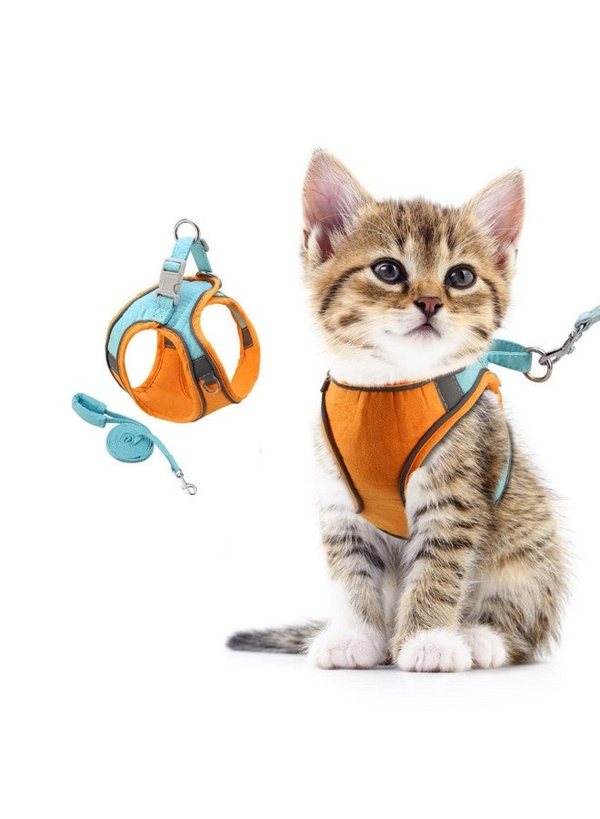 ORIA Pet Harness, Dog Harness, Cat Harness and Leash Set, Breathable Pet Vest, Reflective Strips Jacket for Small Kitten, Puppy, Rabbit, Orange and Blue, 6.6 to 11lb - Image 1