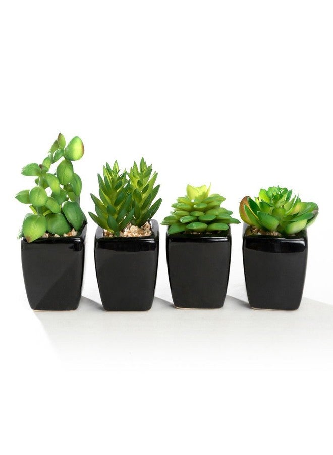 Nattol Modern Mini Artificial Succulent Plants Potted in Cube-Shape Black Ceramic Pots for Home Decor, Set of 4 - Image 1