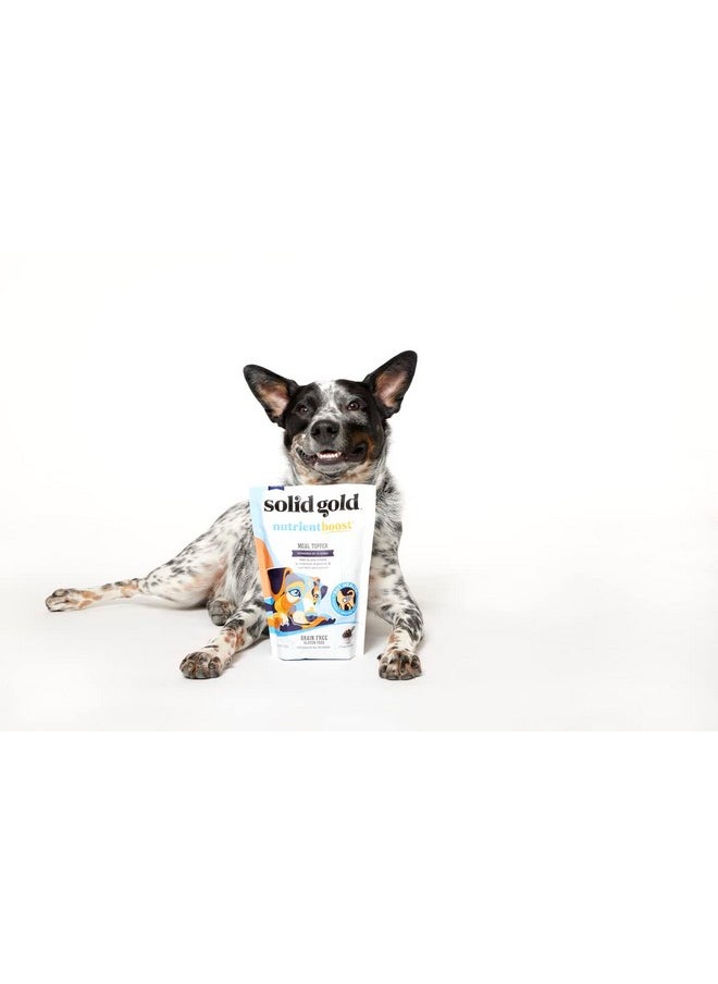 solid gold - Nutrientboost Meal Topper For Dogs  Plasma Infused Dog Food Topper & Treats  Gut Health & Immune System Support  Grain Free Additive With Vitamins, Minerals, Protein & Amino Acids  1 Lb - Image 1
