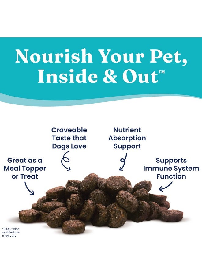 solid gold - Nutrientboost Meal Topper For Dogs  Plasma Infused Dog Food Topper & Treats  Gut Health & Immune System Support  Grain Free Additive With Vitamins, Minerals, Protein & Amino Acids  1 Lb - Image 1