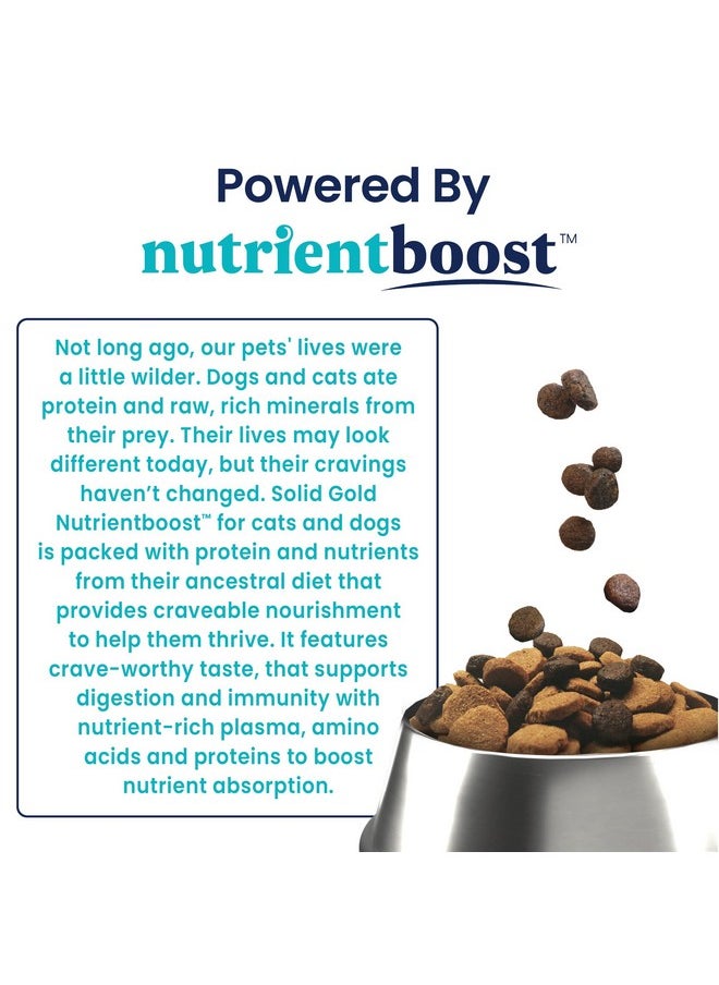 solid gold - Nutrientboost Meal Topper For Dogs  Plasma Infused Dog Food Topper & Treats  Gut Health & Immune System Support  Grain Free Additive With Vitamins, Minerals, Protein & Amino Acids  1 Lb - Image 1