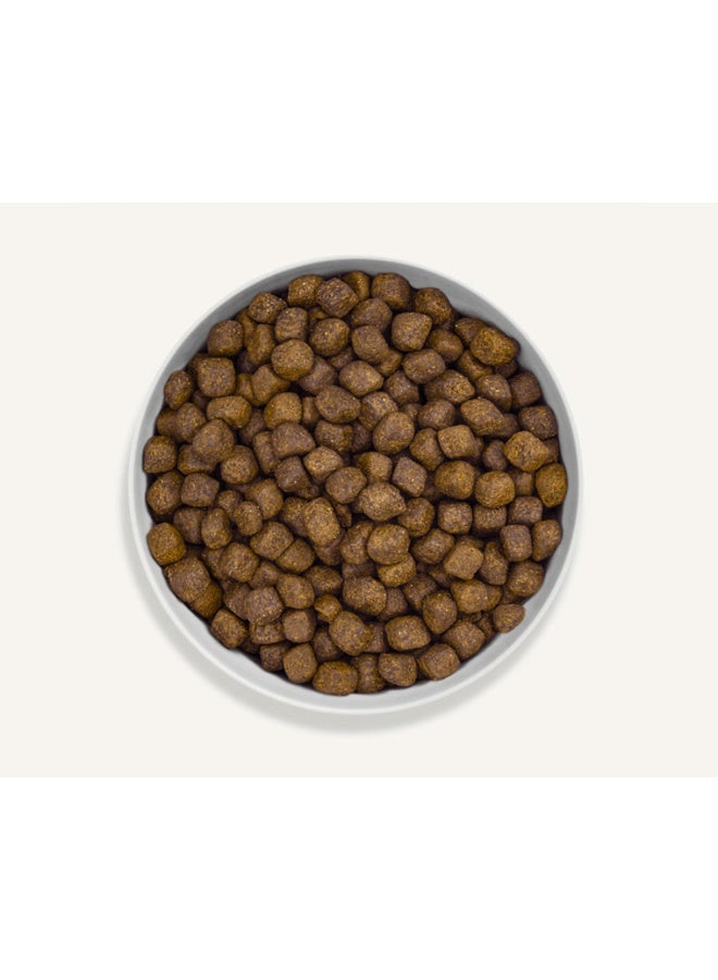 Canagan Dental Free Run Turkey Small Breed Dry Dog Food - 2kg - Image 2