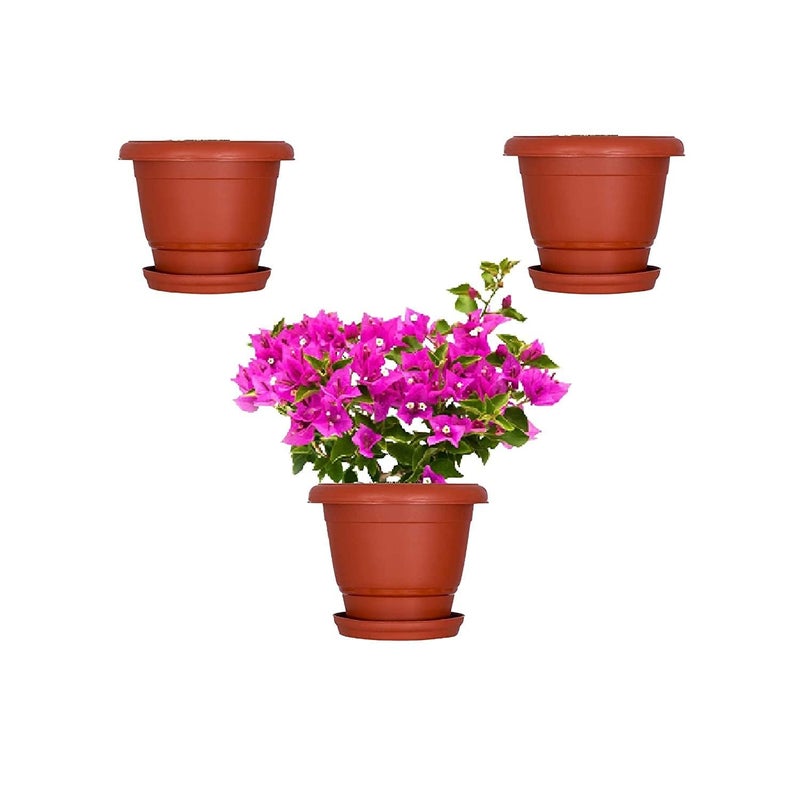 Maanit Combo – Pot & Dripping Tray, Terracotta Color Plastic pots | Dripping Tray – 4”, Pot – 8”, Brown, Pack of 3 Sets - Image 5