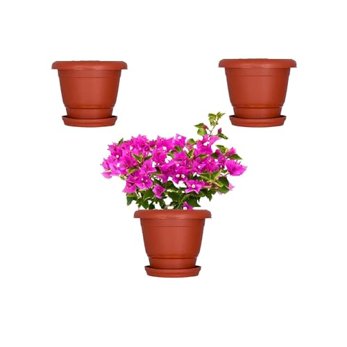 Maanit Combo – Pot & Dripping Tray, Terracotta Color Plastic pots | Dripping Tray – 4”, Pot – 8”, Brown, Pack of 3 Sets - Image 1