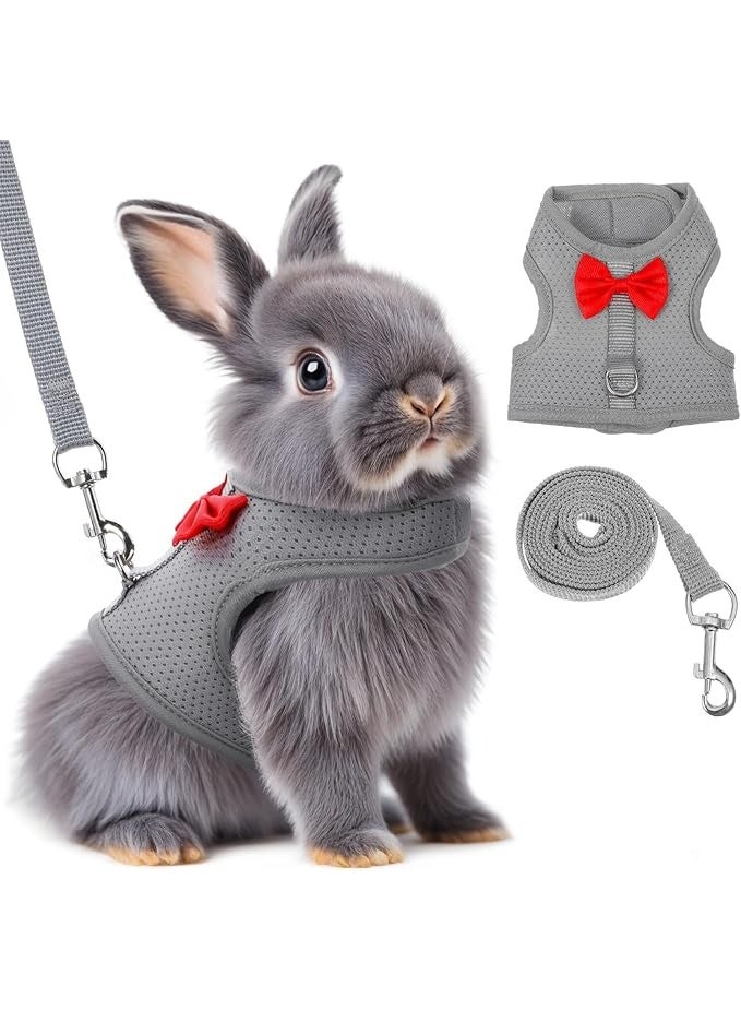 طقم مشد وحزام للأرنب، صدرية حزام للأرنب من شبكة ناعمة وقابلة للتنفس مع إبزيمات أمان، معدات مشي خفيفة الوزن ضد الهروب للأرانب والقطط الصغيرة والفرنس والفئران الغينية، رمادي M - Image 1