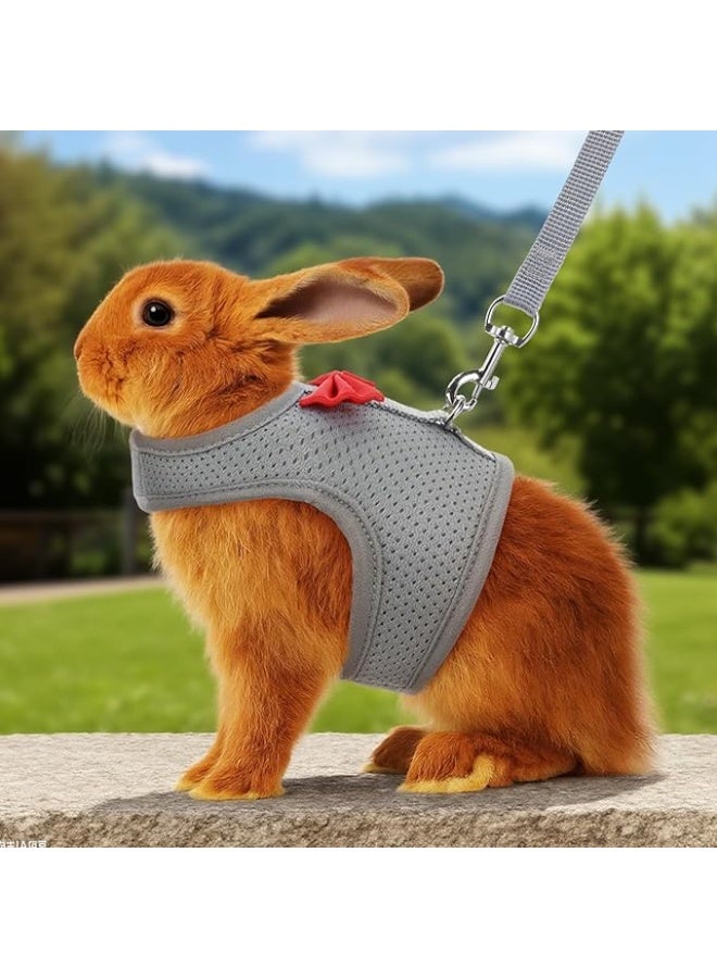طقم مشد وحزام للأرنب، صدرية حزام للأرنب من شبكة ناعمة وقابلة للتنفس مع إبزيمات أمان، معدات مشي خفيفة الوزن ضد الهروب للأرانب والقطط الصغيرة والفرنس والفئران الغينية، رمادي M - Image 5