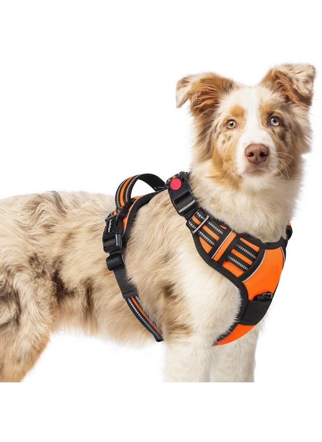 rabbitgoo Dog Harness Medium Sized, No Pull Pet Harness with 3 Buckles, Adjustable Soft Padded Dog Vest with Instant Control Handle, Easy Walking Reflective Pet Vest for Medium Dogs, Orange, M - pzsku/Z1A8EA244668421B4139BZ/45/_/1737032016/a70e755a-30a3-45ba-8031-ecbf375835b9