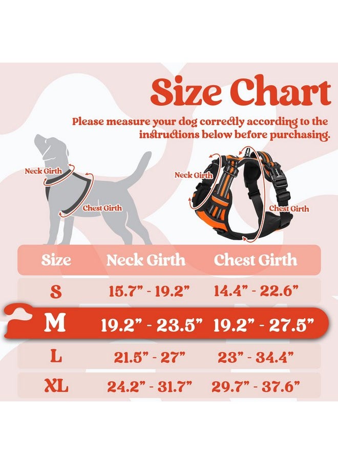 rabbitgoo Dog Harness Medium Sized, No Pull Pet Harness with 3 Buckles, Adjustable Soft Padded Dog Vest with Instant Control Handle, Easy Walking Reflective Pet Vest for Medium Dogs, Orange, M - pzsku/Z1A8EA244668421B4139BZ/45/_/1737032031/c2b1bb11-b134-4d93-b717-e14b76e4ffbe