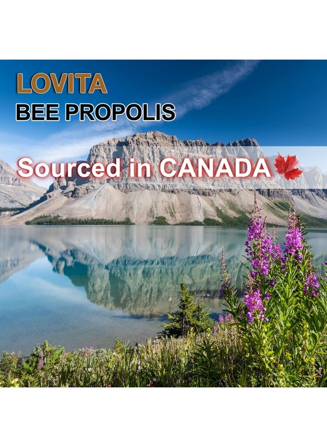 لوفيتا مستخلص سائل من البروبوليس النحلي 500 مجم | مستخلص البروبوليس 5:1 | خالٍ من الكحول | دعم المناعة | 1 أونصة سائلة (عبوة من 3 قطع) - Image 5