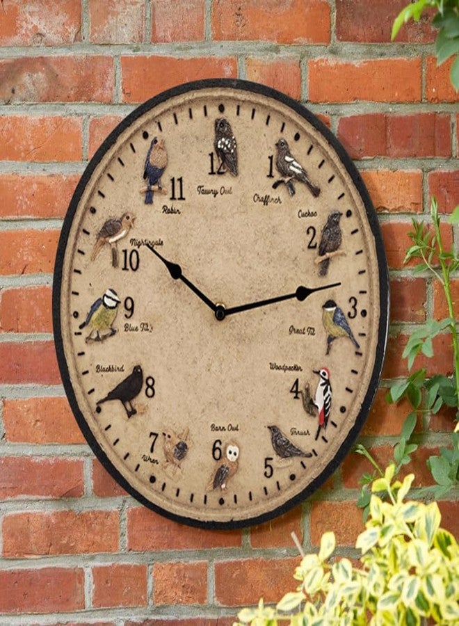 YTAONS Outdoor Wall Clock for Garden, Patio and Deck, Decorative Birds Wall Clock, 12in Garden Clock Waterproof Clocks -Not Silent (12 Birds) - Image 2