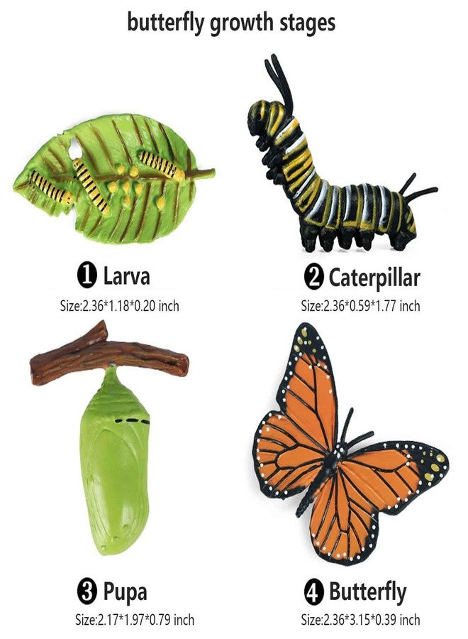 KUHPLOVE Butterfly Evolution Periods Magnets - Bring funny Cute Magnets to Your Refrigerator with These Adorable and Educational Fridge Magnet (Butterfly) - Image 2