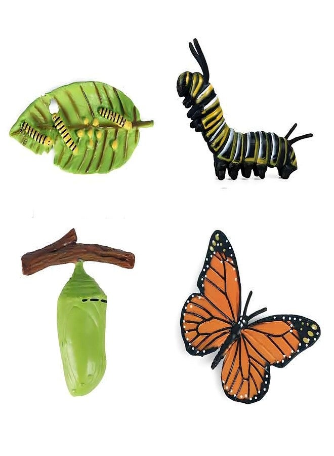 KUHPLOVE Butterfly Evolution Periods Magnets - Bring funny Cute Magnets to Your Refrigerator with These Adorable and Educational Fridge Magnet (Butterfly) - Image 1