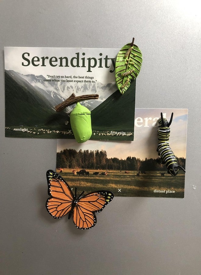 KUHPLOVE Butterfly Evolution Periods Magnets - Bring funny Cute Magnets to Your Refrigerator with These Adorable and Educational Fridge Magnet (Butterfly) - Image 5