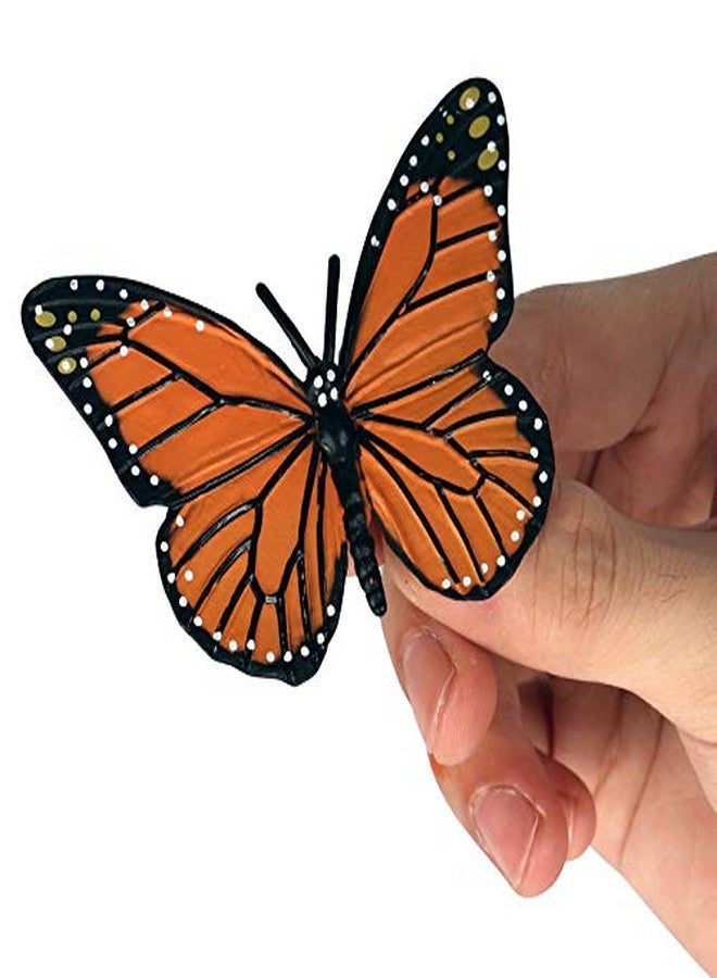 KUHPLOVE Butterfly Evolution Periods Magnets - Bring funny Cute Magnets to Your Refrigerator with These Adorable and Educational Fridge Magnet (Butterfly) - Image 4