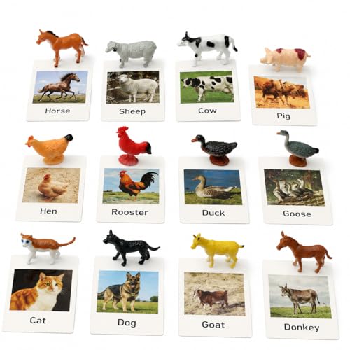 Esoes Montessori Farm Animal Matching Game 12PCS Realistic Farm Poultry Animal Figurines with Flash Cards Preschool Educational Learning Toys for Toddlers Kids Homeschool Language Sensory Toy - Image 1