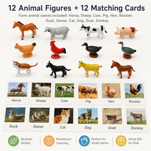 Esoes Montessori Farm Animal Matching Game 12PCS Realistic Farm Poultry Animal Figurines with Flash Cards Preschool Educational Learning Toys for Toddlers Kids Homeschool Language Sensory Toy - Image 5