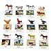 Esoes Montessori Farm Animal Matching Game 12PCS Realistic Farm Poultry Animal Figurines with Flash Cards Preschool Educational Learning Toys for Toddlers Kids Homeschool Language Sensory Toy - Image 4