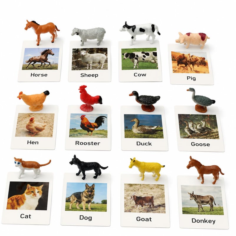 Esoes Montessori Farm Animal Matching Game 12PCS Realistic Farm Poultry Animal Figurines with Flash Cards Preschool Educational Learning Toys for Toddlers Kids Homeschool Language Sensory Toy - Image 3