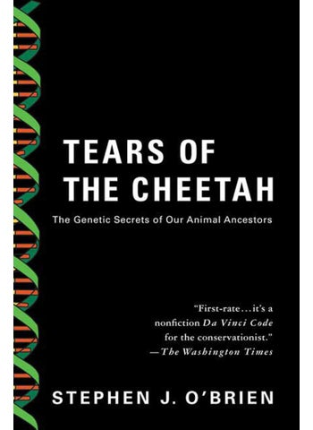 Tears of the Cheetah - pzsku/Z1A926567DF4B6AAA3B57Z/45/1746231119/b81a5343-95a0-4a05-a13c-d3c5ab307a36