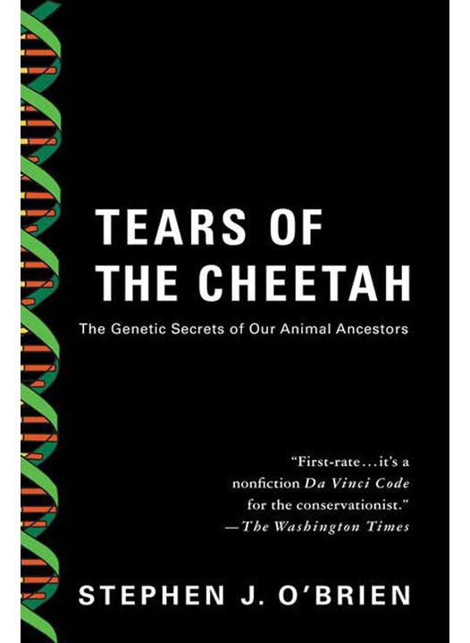 Tears of the Cheetah
