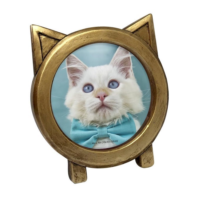 4X4 ROUND RESIN SENTIMENT CAT PICTURE FRAME WITH EARS PHOTO TABLETOP WALL DISPLAY HANGING DISPLAY HOME DCOR GOLD