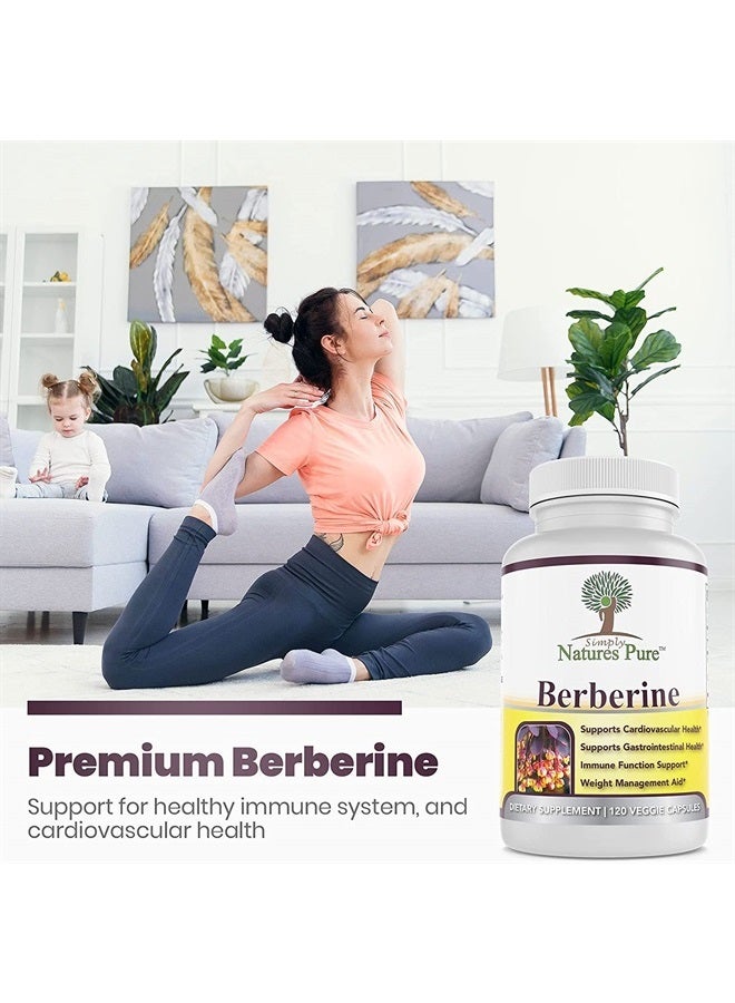 Simply Natures Pure Premium Berberine HCl 500mg - 120 Capsules - Cardiovascular Gastrointestinal Immune Support - Chromium Cinnamon (Pack of 3) - Image 4