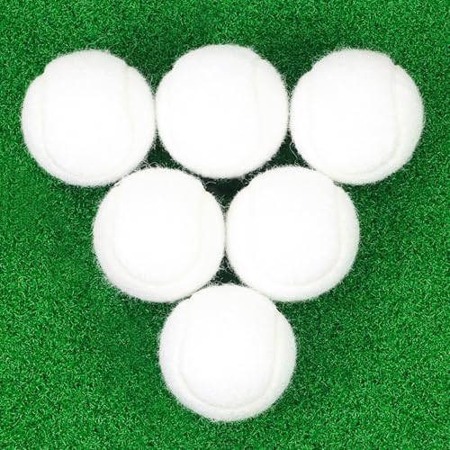 Bac-kitchen Tennis Balls, 6 Pack High Elasticity Practice Tennis Balls with Mesh Bag, Ideal for Beginner, Exercise Playing Balls for Pet Dog (White) - Image 1