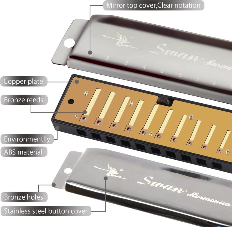 SWAN Blues Harmonica C Key for Kids& Adults, 10 Hole 20 Tone Diatonic Harmonica Key of C Blues Harp for Beginners& Students, Mouth Organ in Stainless Steel Gunmetal Black, SW1020-7C - Image 5