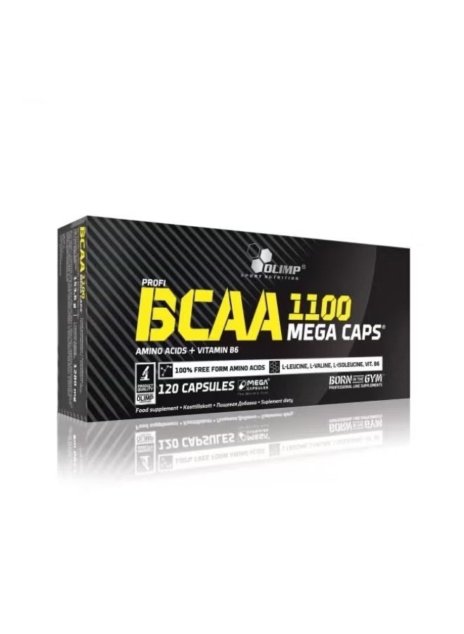 أولمب 120 كبسولة من الأحماض الأمينية المتشعبة السلسلة (BCAA) بتركيز 1100 ميجا مع فيتامين ب6 لنمط حياة نشط